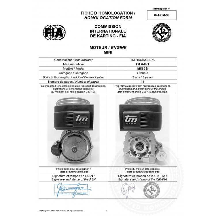 FICHE MOTORE TM MINI 3 B 60cc