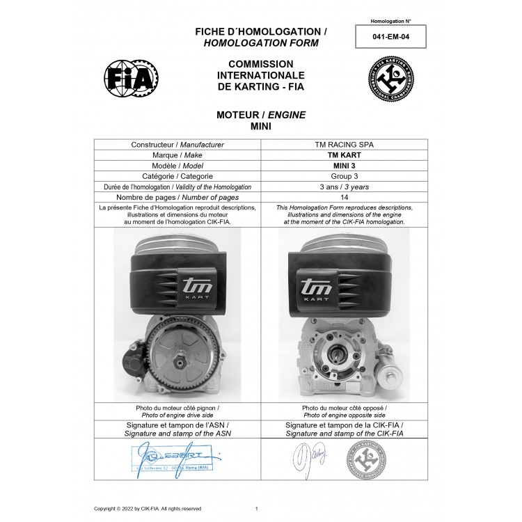 FICHE MOTORE TM MINI 3 60cc