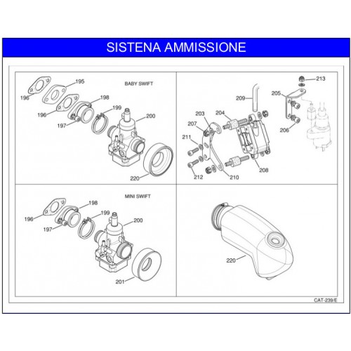 AMMISSIONE IAME 60cc 2011-2012