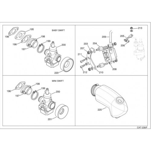 AMMISSIONE IAME 60cc 2015