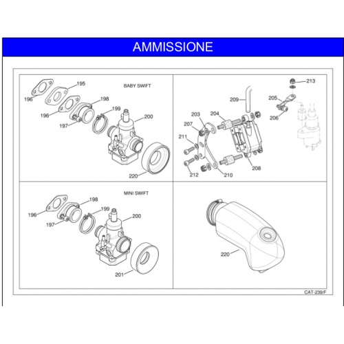 AMMISSIONE IAME 60cc 2018