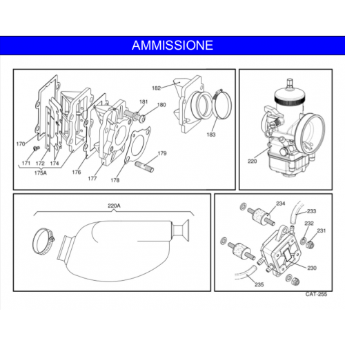 AMMISSIONE IAME REEDSTER 2009 KF