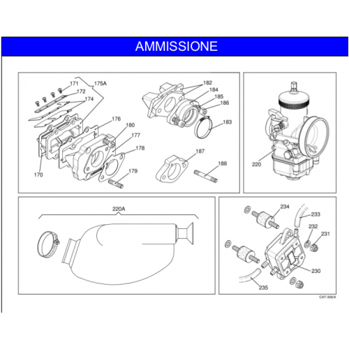 AMMISIONE IAME REEDSTER 2012 KF