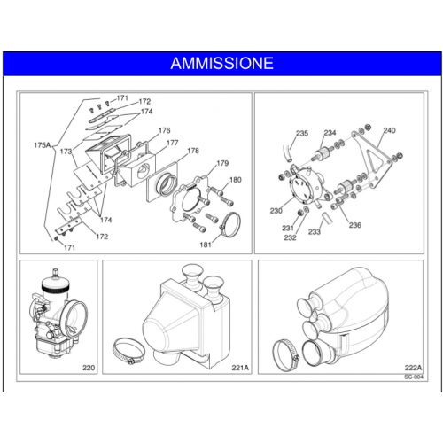 AMMISSIONE IAME SCREAMER 2013 KZ