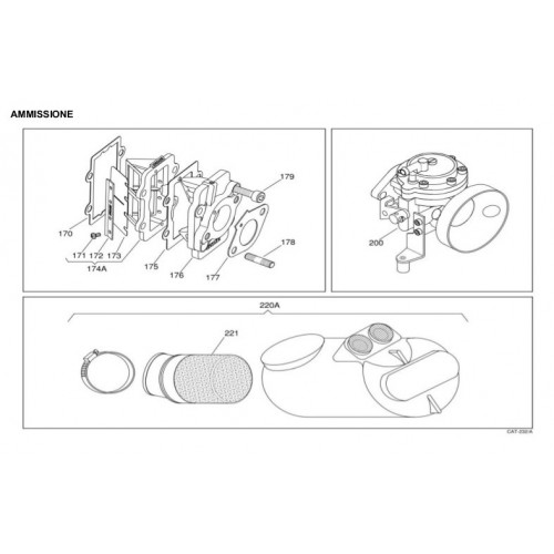 AMMISSIONE IAME X30 125cc 2008-2012