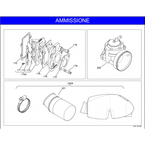 AMMISSIONE IAME X30 125cc 2018-2019