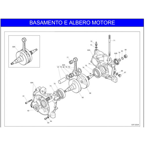 BASAMENTO MOTORE IAME X30 125cc 2018-2019