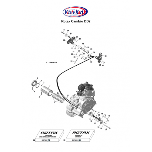 CAMBIO ROTAX DD2