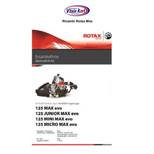 MOTORE ROTAX MAX 125cc