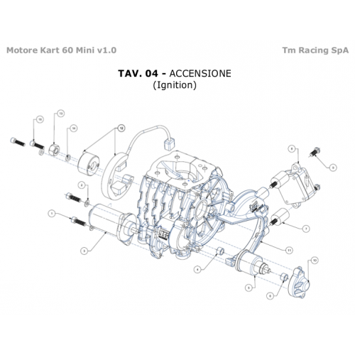 ACCENSIONE TM 60cc MINI