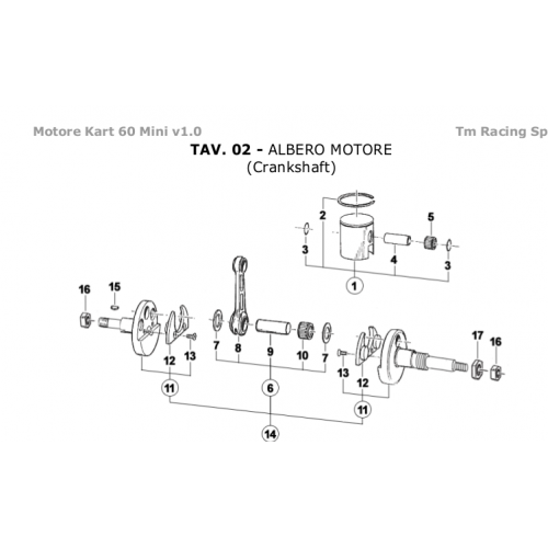 ALBERO MOTORE - PISTONE TM 60cc MINI