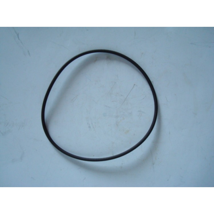 ORING TESTA IAME CENTRALE TAG (VITON)