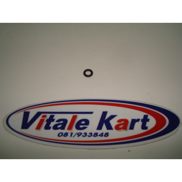 O-RING VITE REG.CARB.OK-N VEDI*R15*